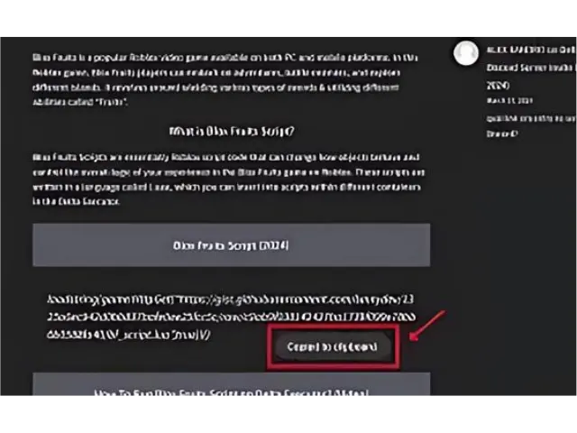 Use Blox Fruit Scripts Safely